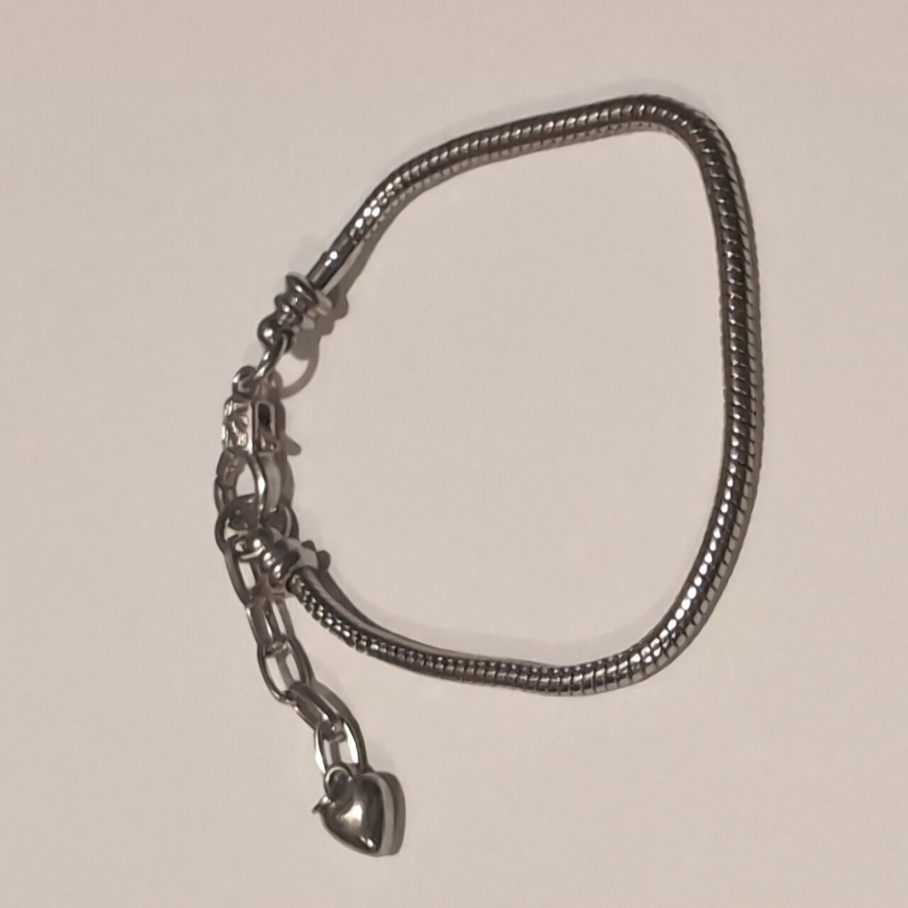 Silver Plated‎ Pandora Style Snake Screw End Lobster Claw Clasp Charm Bracelet
